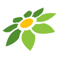 ML SCRIPT
